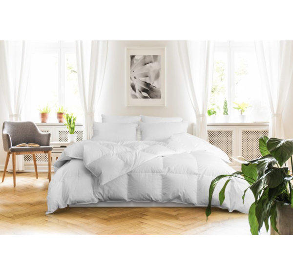 White Noise Summer Cotton Down Alternative Comforter & Reviews Wayfair